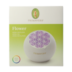 Primavera Aroma fan flower 1.00 Stuks
