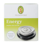 Primavera Geursteen energiespiraal 1.00 Stuks
