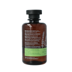 APIVITA Showergel tonic mountain tea 250 Milliliter