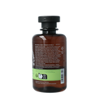 APIVITA Showergel tonic mountain tea 250 Milliliter