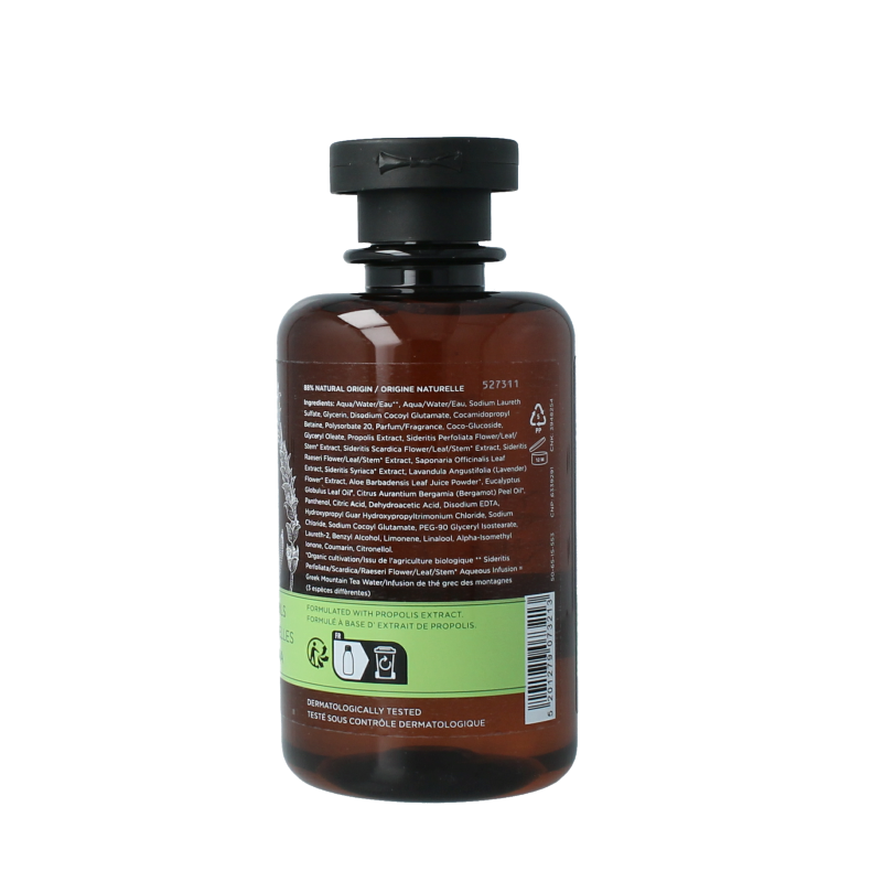 APIVITA Showergel tonic mountain tea 250 Milliliter