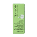 Teaology Lipbalm matcha tea 4.8 Gram