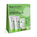 Teaology Matcha repair hair care kit 1.00 Stuks