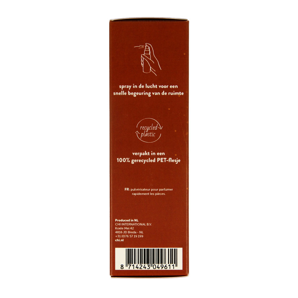 Chi Wintertime airspray 50.00 Milliliter