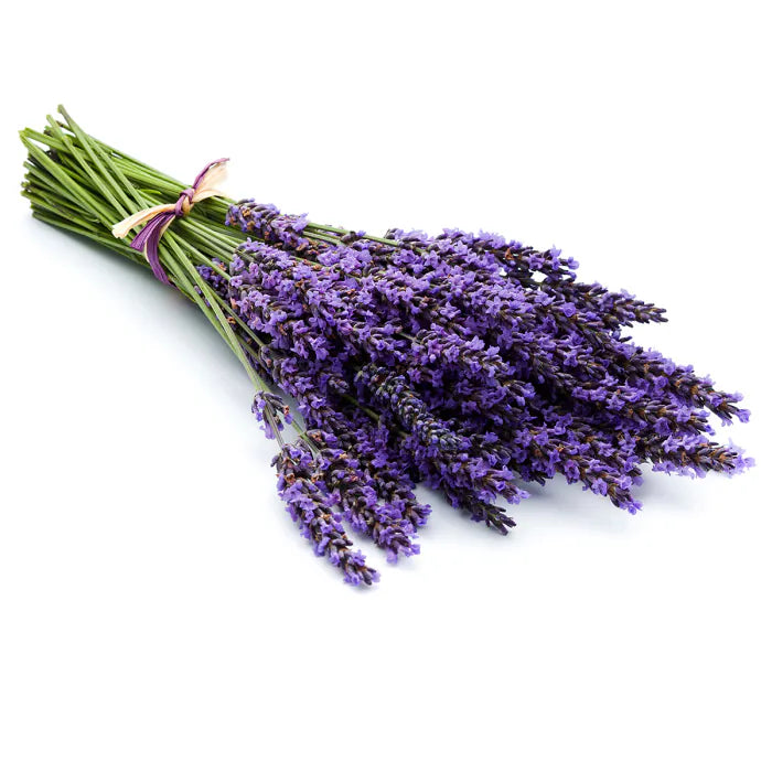 Chi Aromassage lavender 100.00 Milliliter extra image