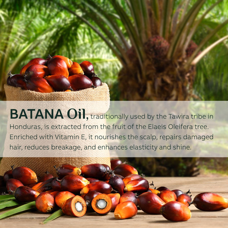 Chi Batana 50.00 Milliliter extra image