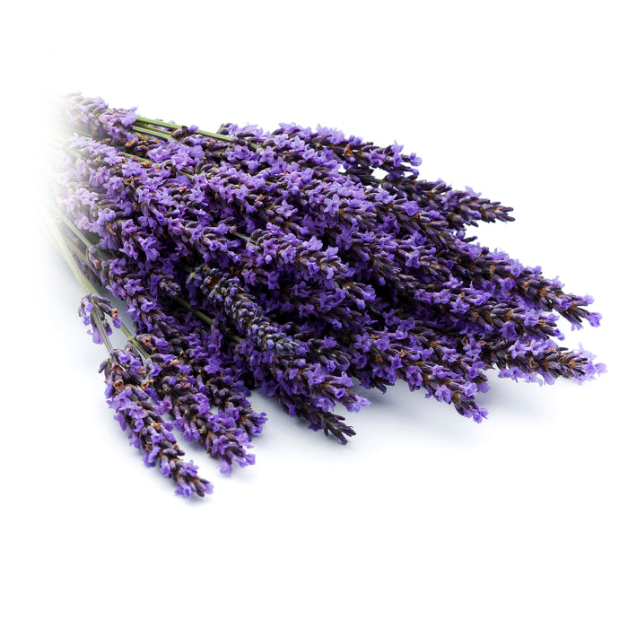 Chi Lavender Hydrosol organic 500.00 Milliliter extra image