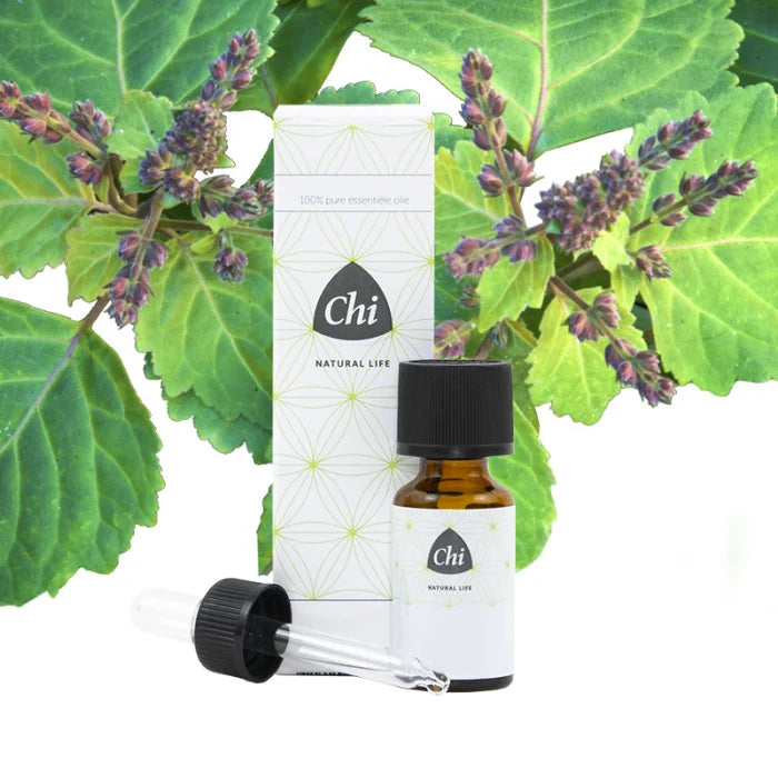 Chi Patchouli etherische olie bio 10.00 Milliliter extra image