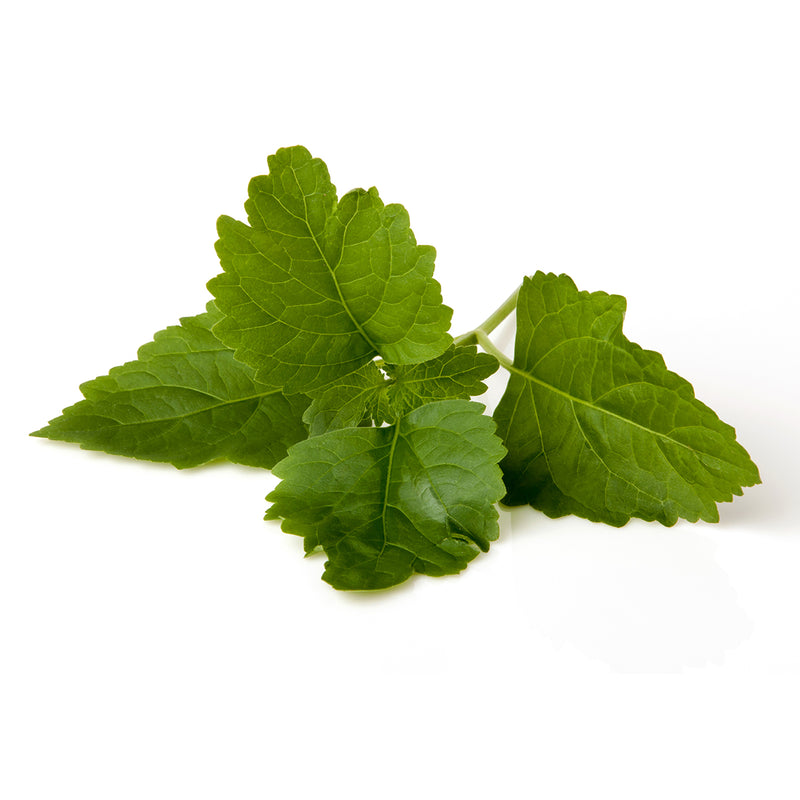 Chi Patchouli etherische olie bio 10.00 Milliliter extra image
