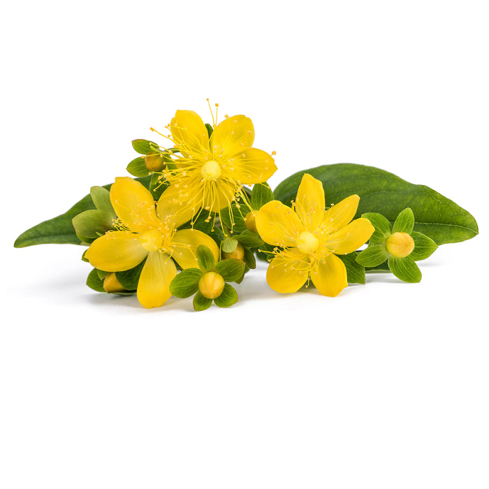 Phyris St. John's Wort Macerate Organic 100.00 Milliliter extra image