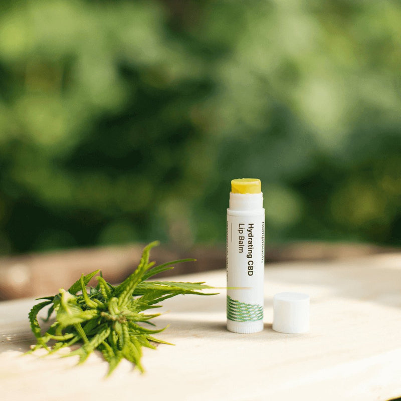 Hemptouch Hydrating Lip Balm 4.50 Milliliter extra image