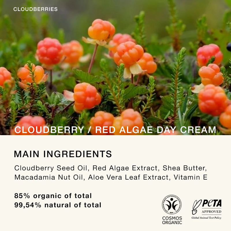 Ströme Crème de jour baie arctique algues rouges bio 50 ml extra image