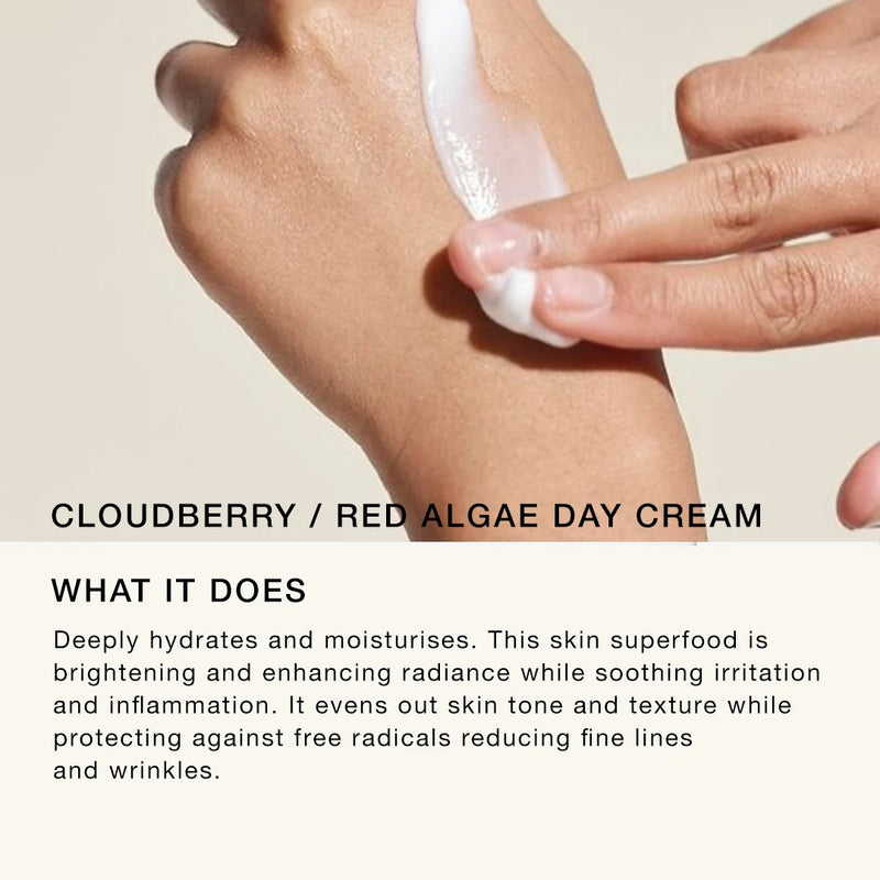Ströme Crème de jour baie arctique algues rouges bio 50 ml extra image
