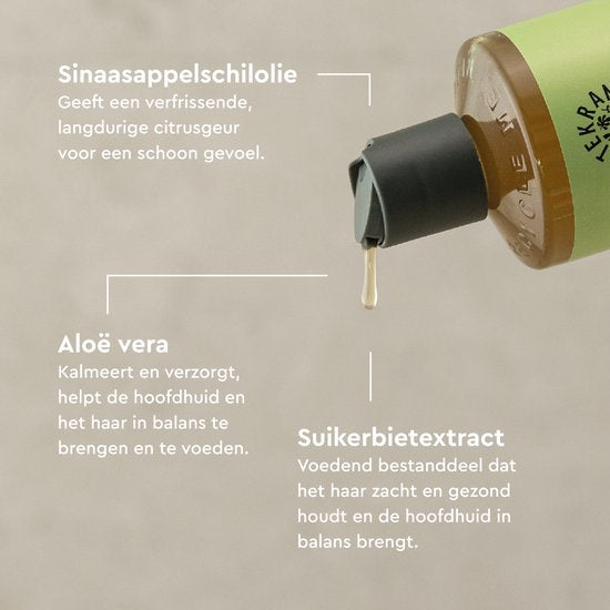 Urtekram Shampoo aloe vera dry hair 500 Milliliter extra image