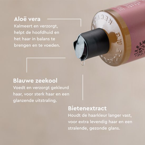 Urtekram Soft Wild Rose Shampoo 250 Milliliters extra image