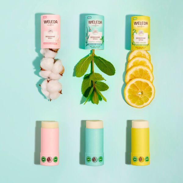 Weleda Deodorant stick eucalyptus + peppermint 24H 50.00 Gram extra image