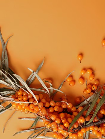 Weleda Sea Buckthorn Revitalising Body Wash 200.00 Milliliter extra image