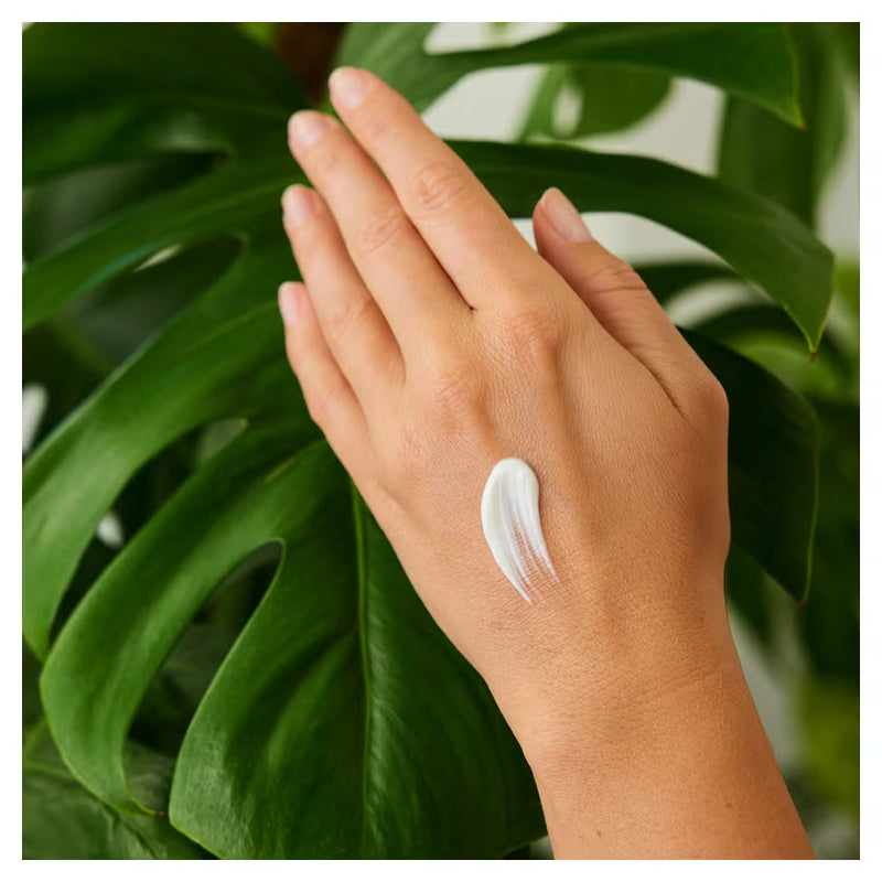 Weleda Soothing Hand Cream Fragrance-free 50.00 Milliliter extra image